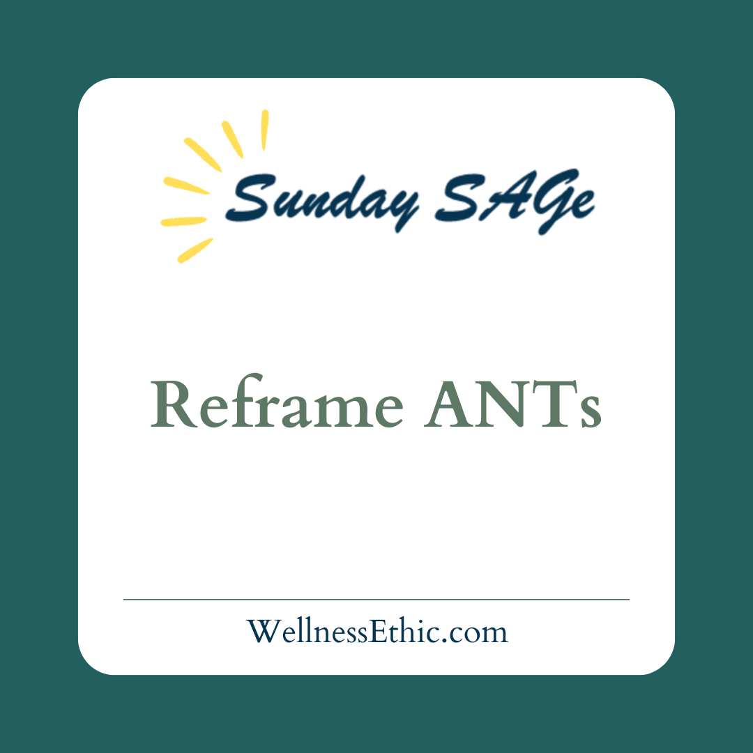Sunday SAGe logo with title: Reframe ANTs