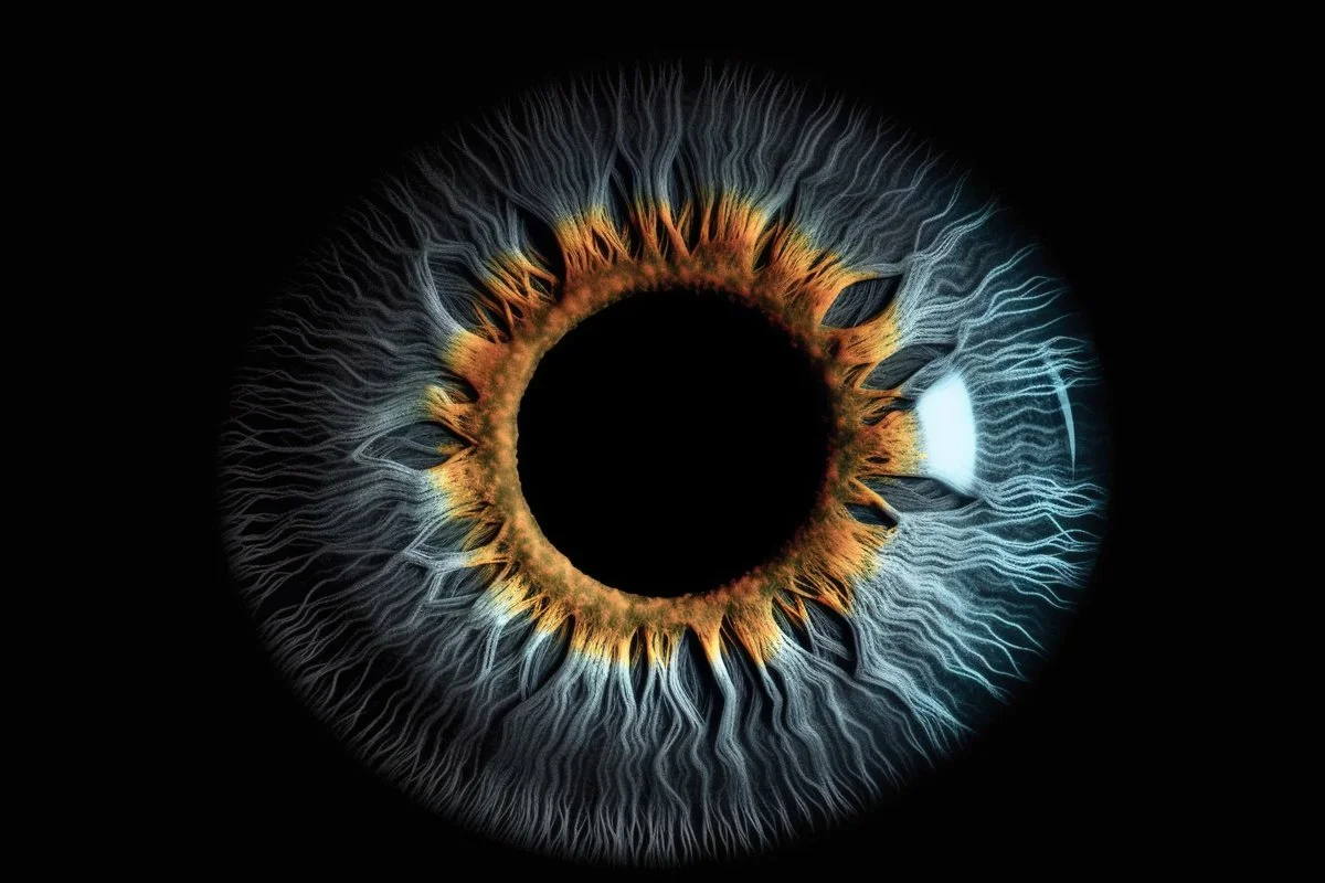 A photograph of the iris of an eye.