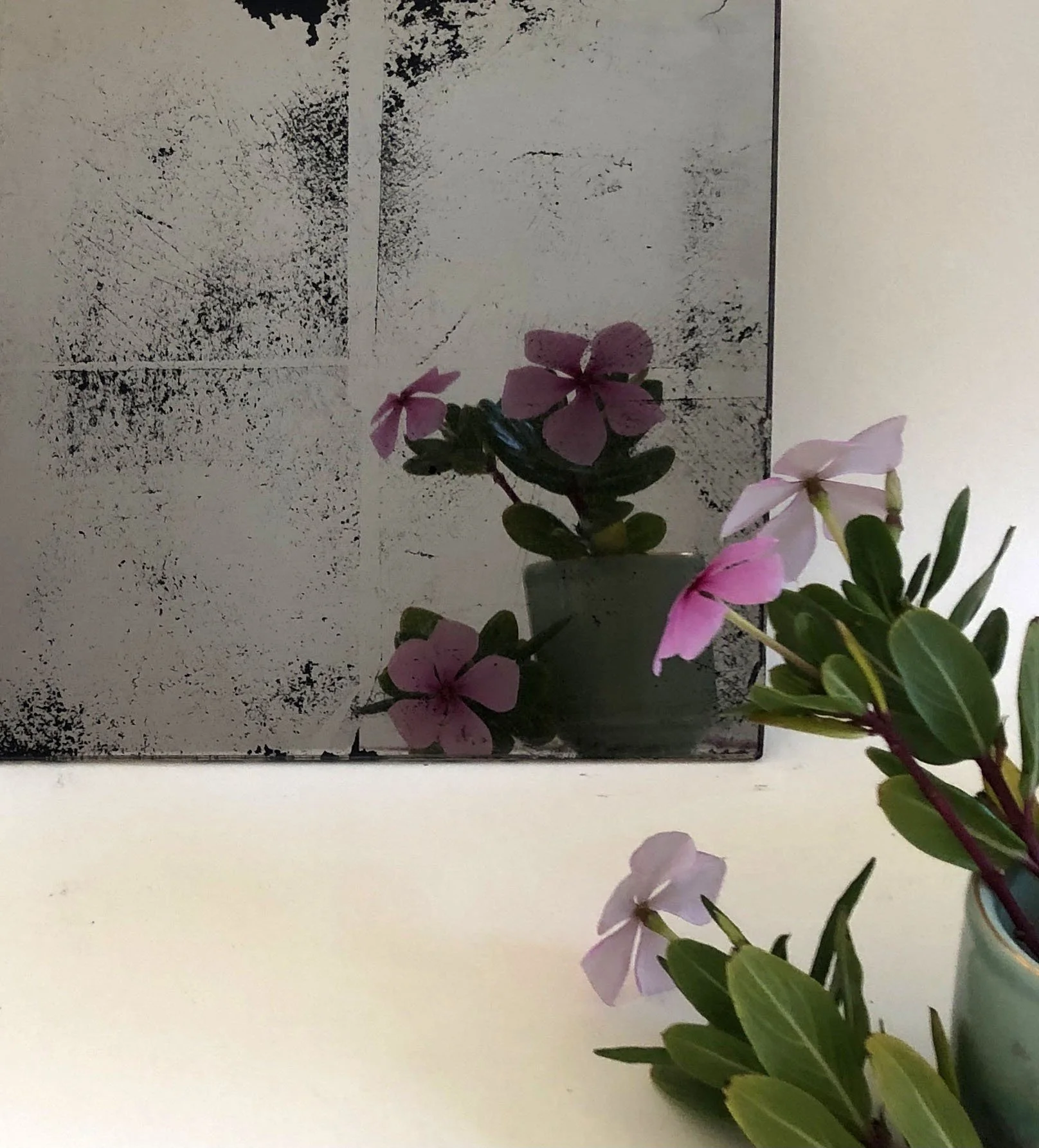 AntiqueMirror_Caplain2.jpg