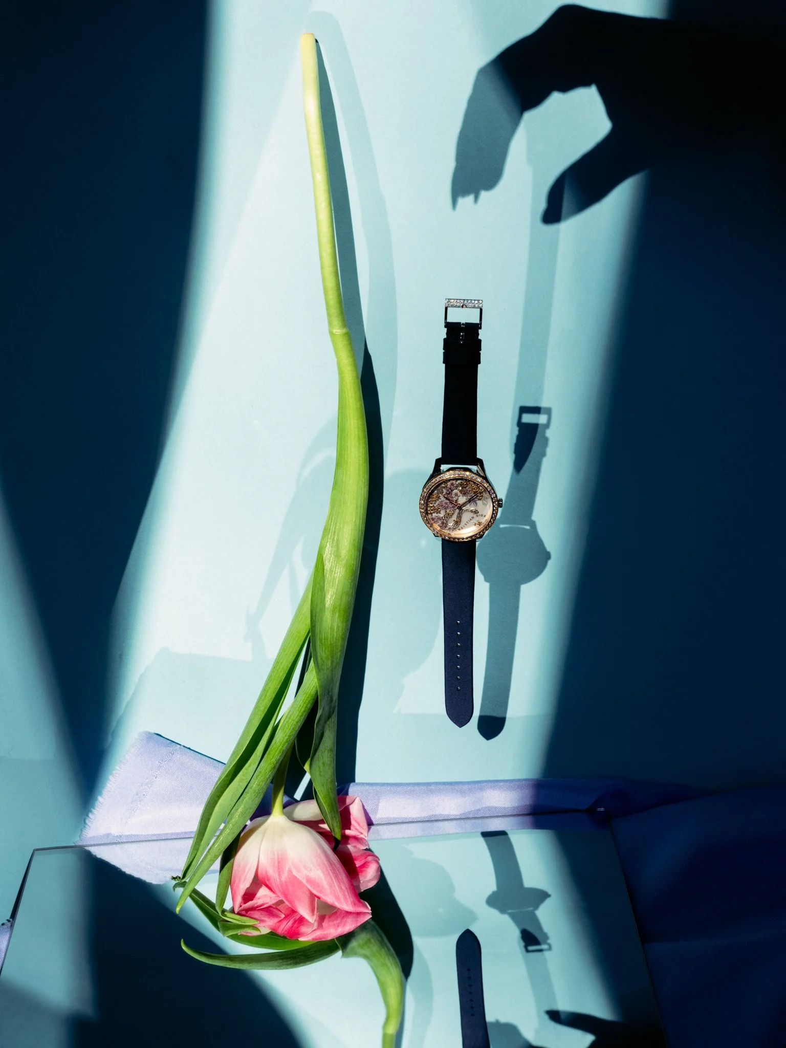 Melissa Schriek - FAZ - Watches-35.jpg