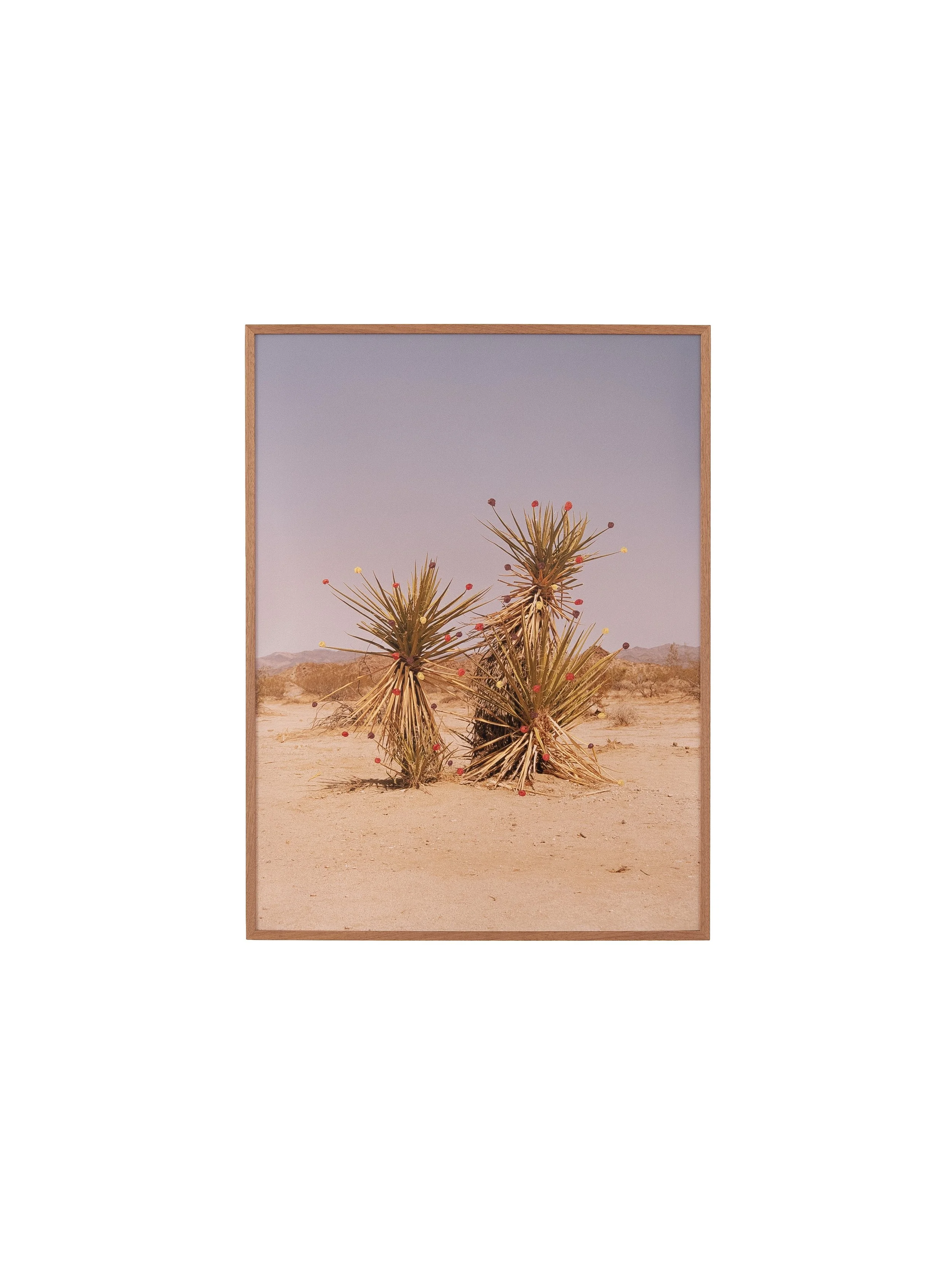 The Real World (sold)