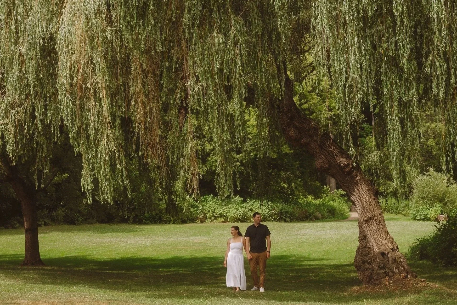 A man and woman holding hands looking opposite directions away from one another under a giant willow tree in Toronto's High Park.