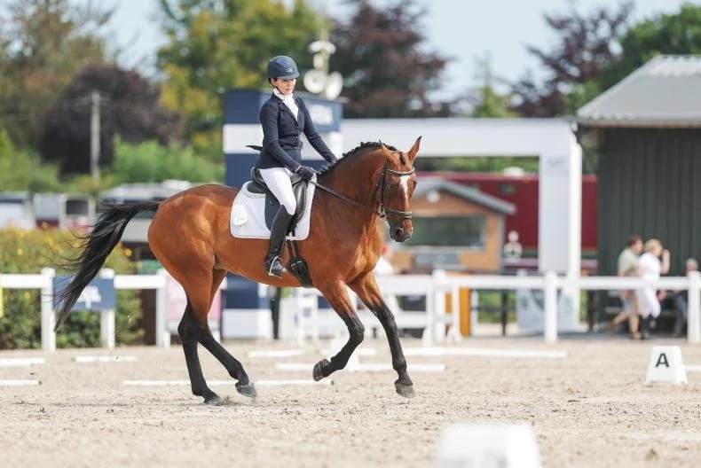 Foxborough Dressage League 2026