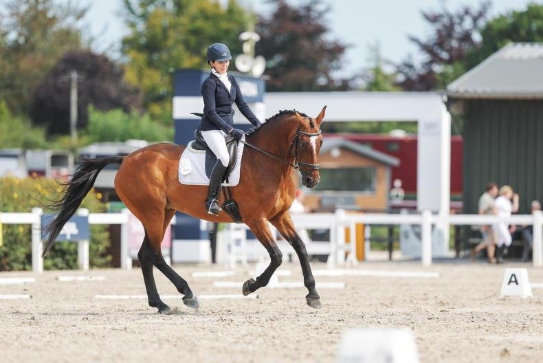 Foxborough Dressage League 2026