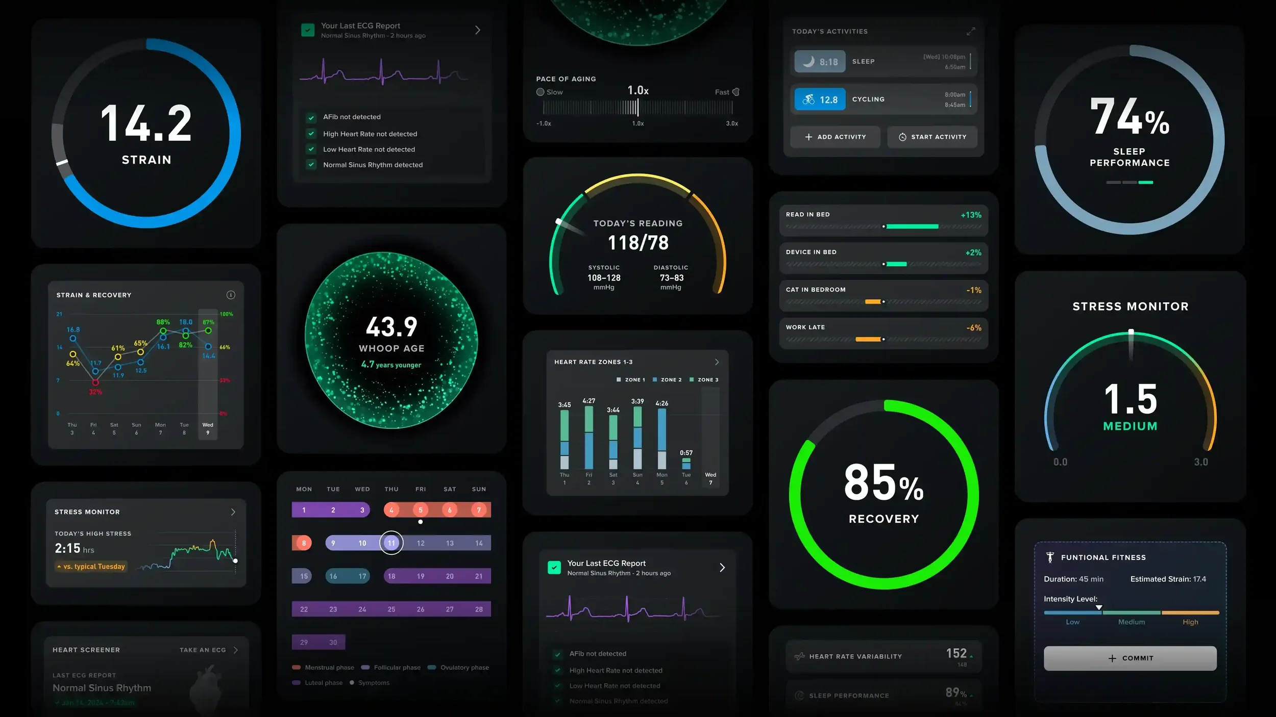 Biometric data dashboard