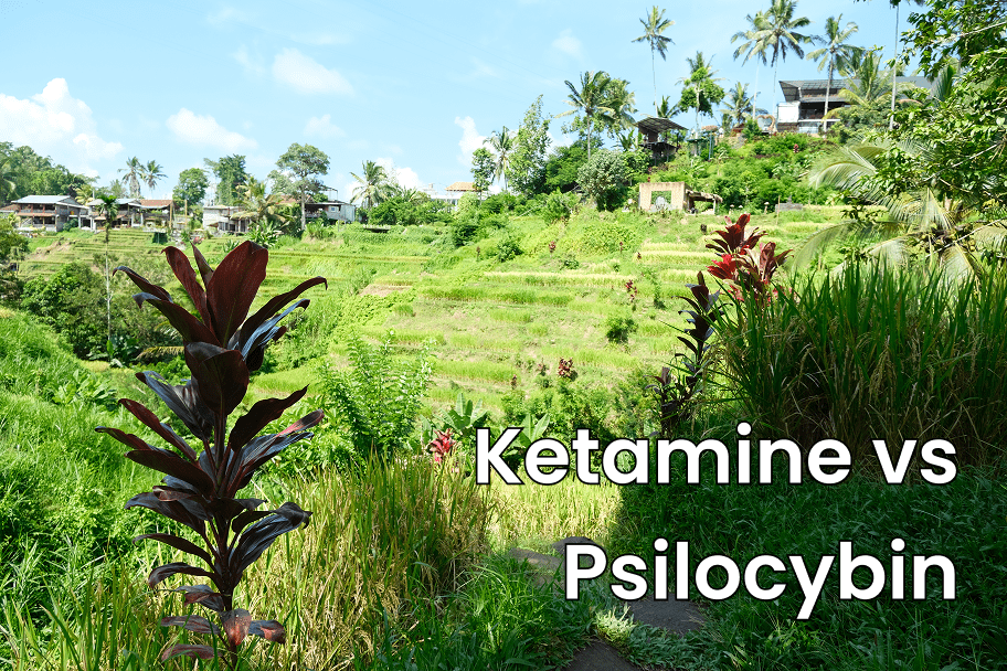 Text "Ketamine vs Psilocybin" over nature photo of a rice field