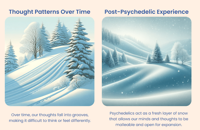 What Are Psychedelics How Do Psychedelics Work