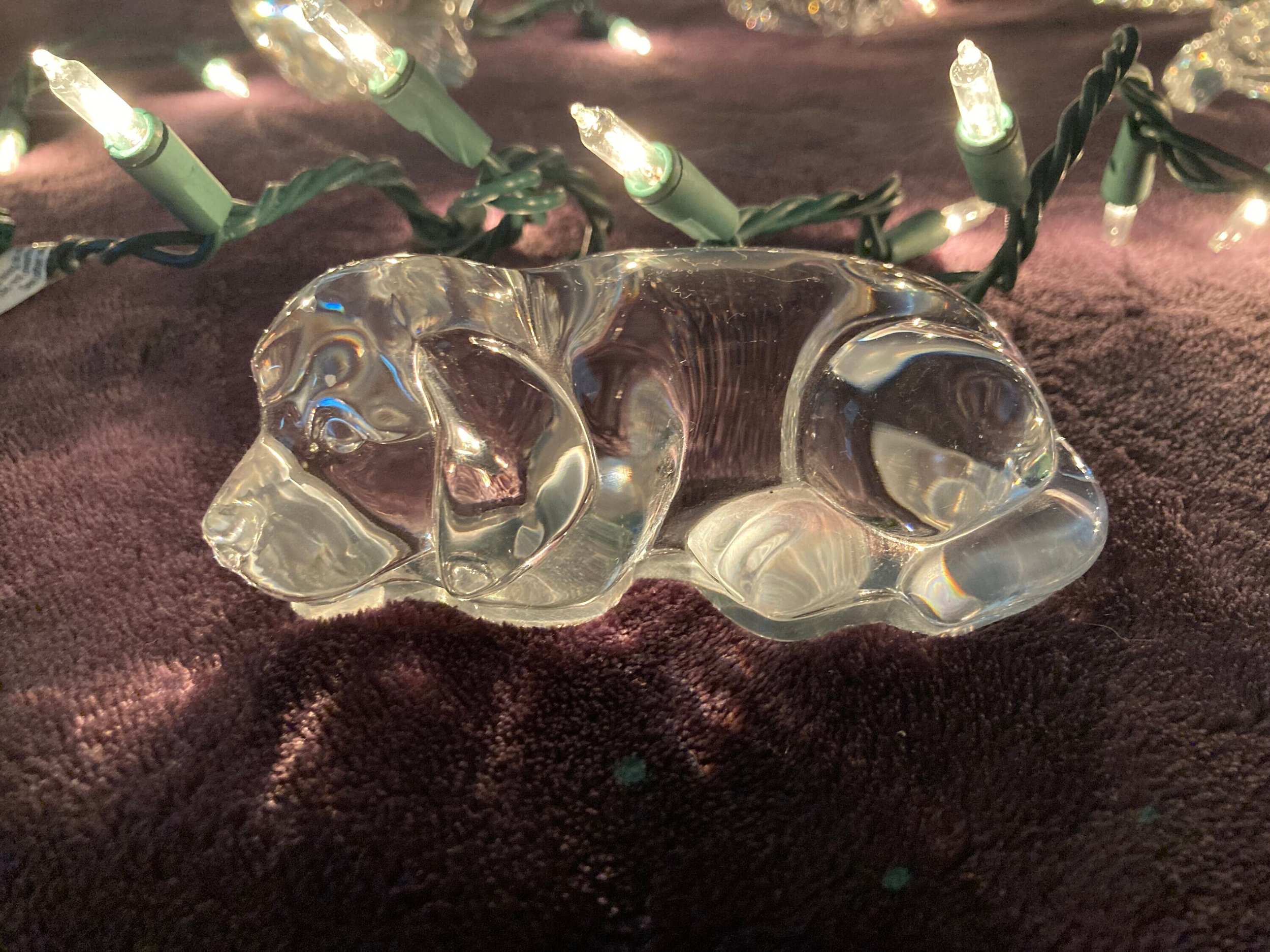 https://i.etsystatic.com/44357816/r/il/558960/5107779709/il_fullxfull.5107779709_az3y.jpg