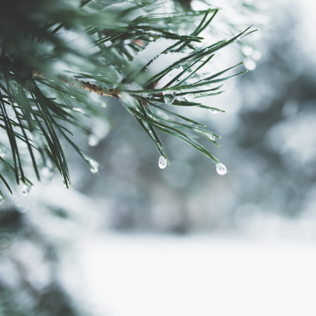 Drop One Hundred Twenty-two