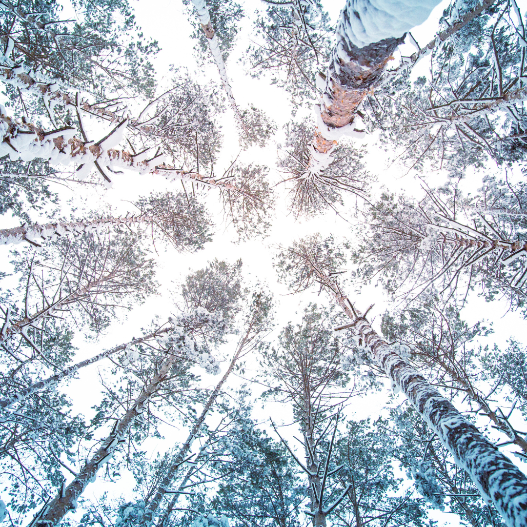 Drop One Hundred Twenty-three