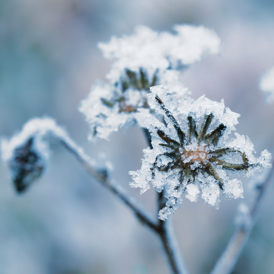 Drop One Hundred Twenty-four