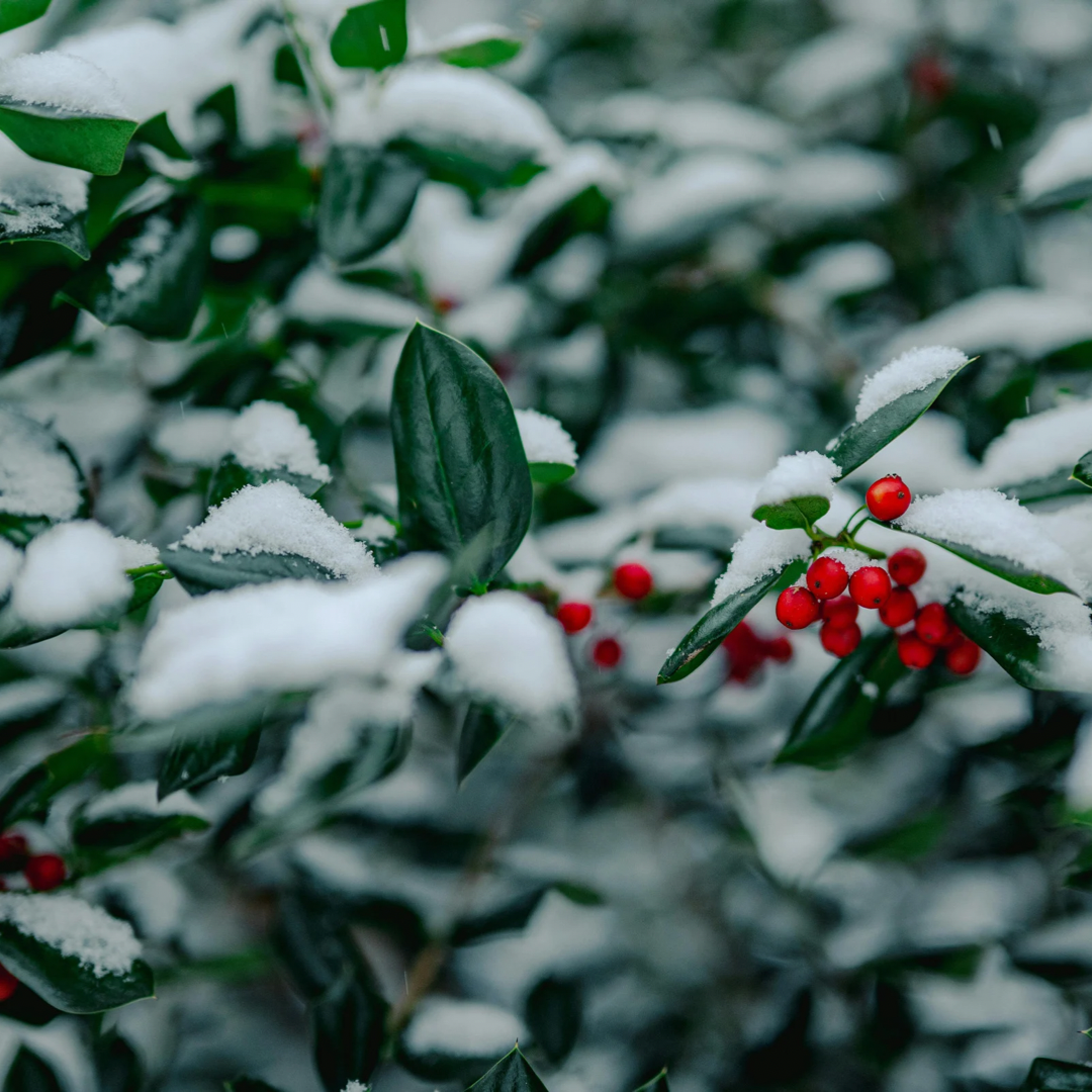 Drop One Hundred Twenty-five