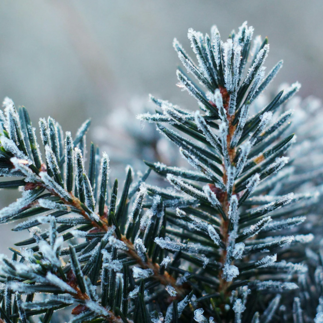 Drop One Hundred Twenty-seven