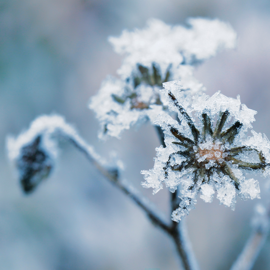 Drop One Hundred Thirty-four 