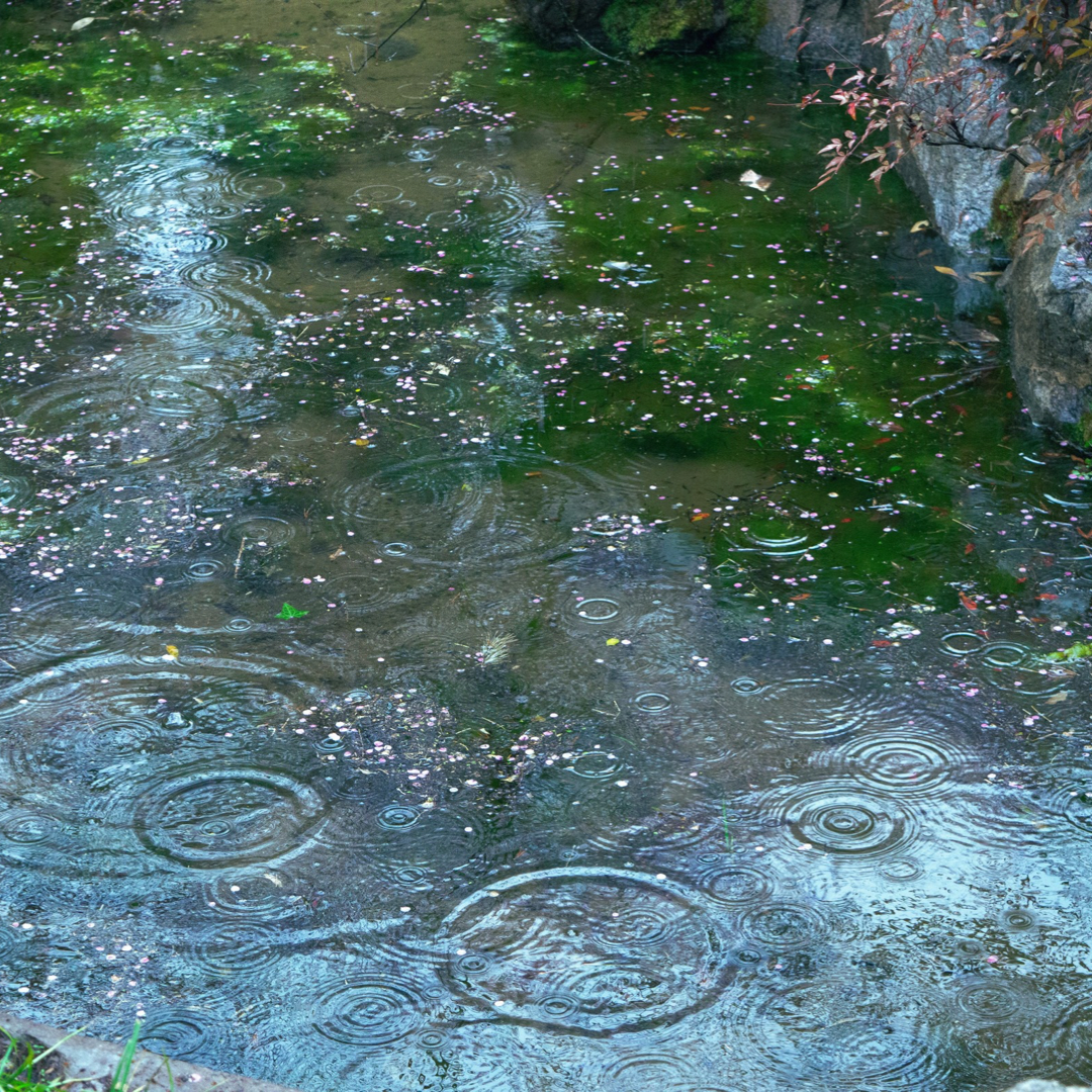 Drop One Hundred Thirty-seven