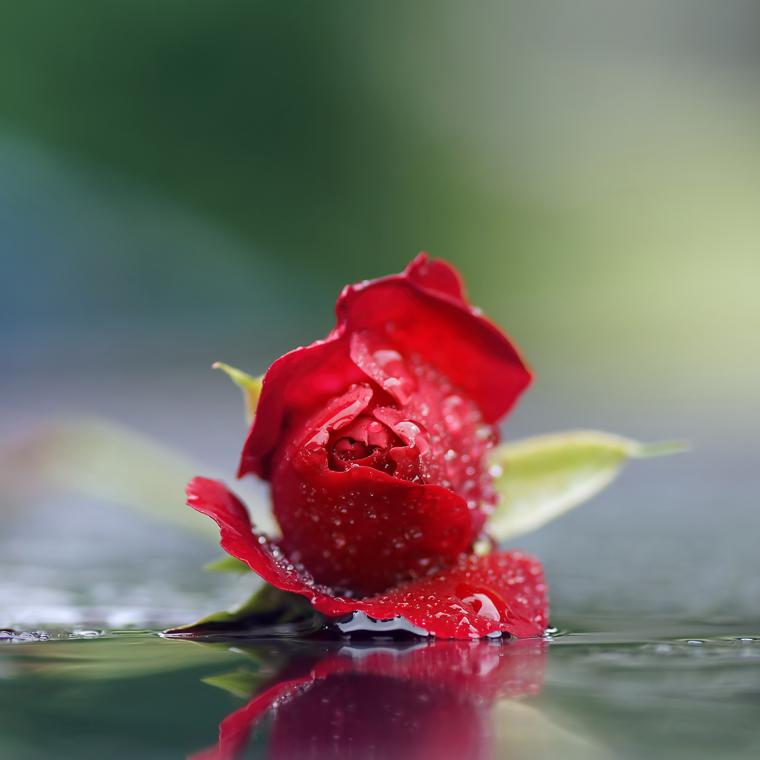 Drop One Hundred Thirty-nine