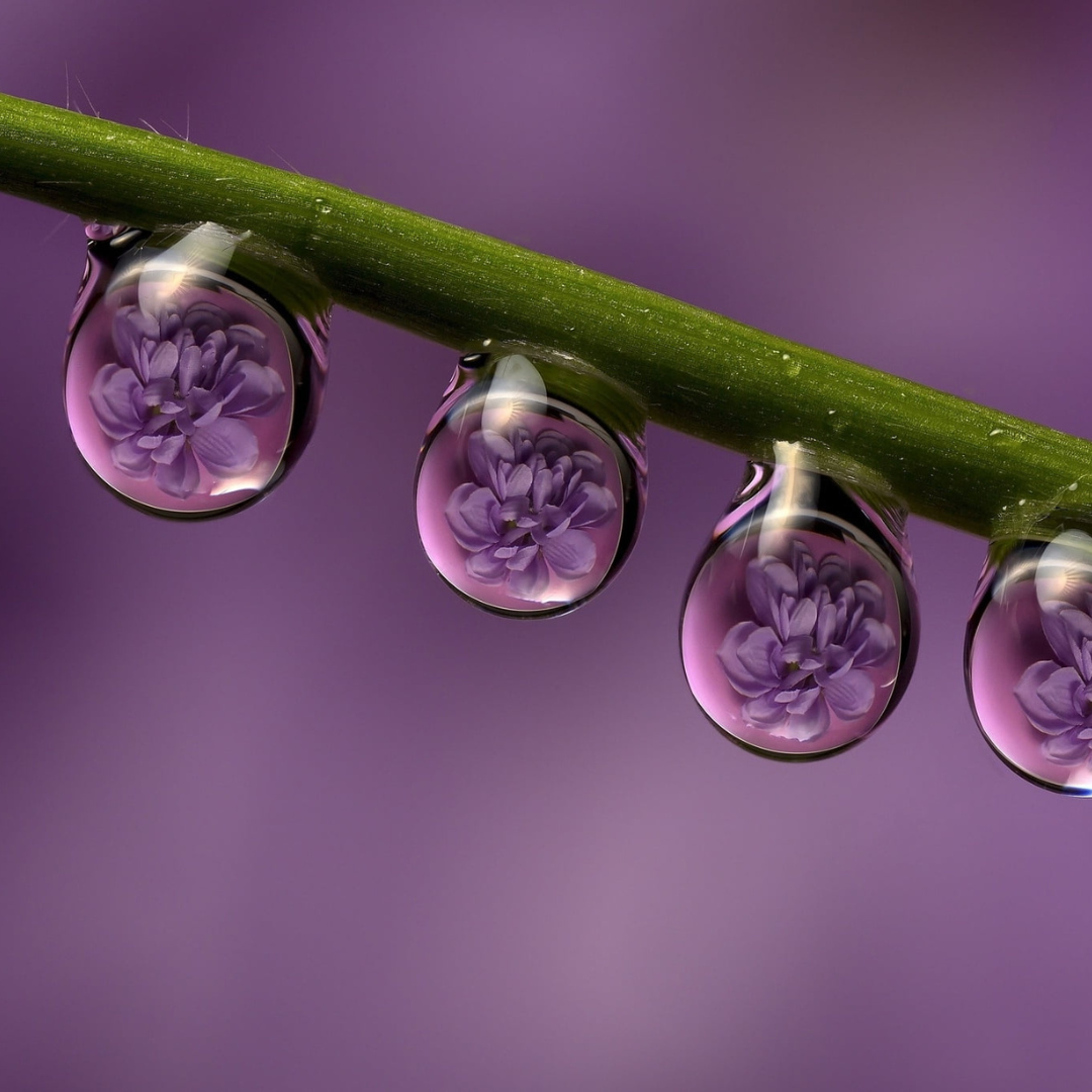 Drop One Hundred Sixty-Two