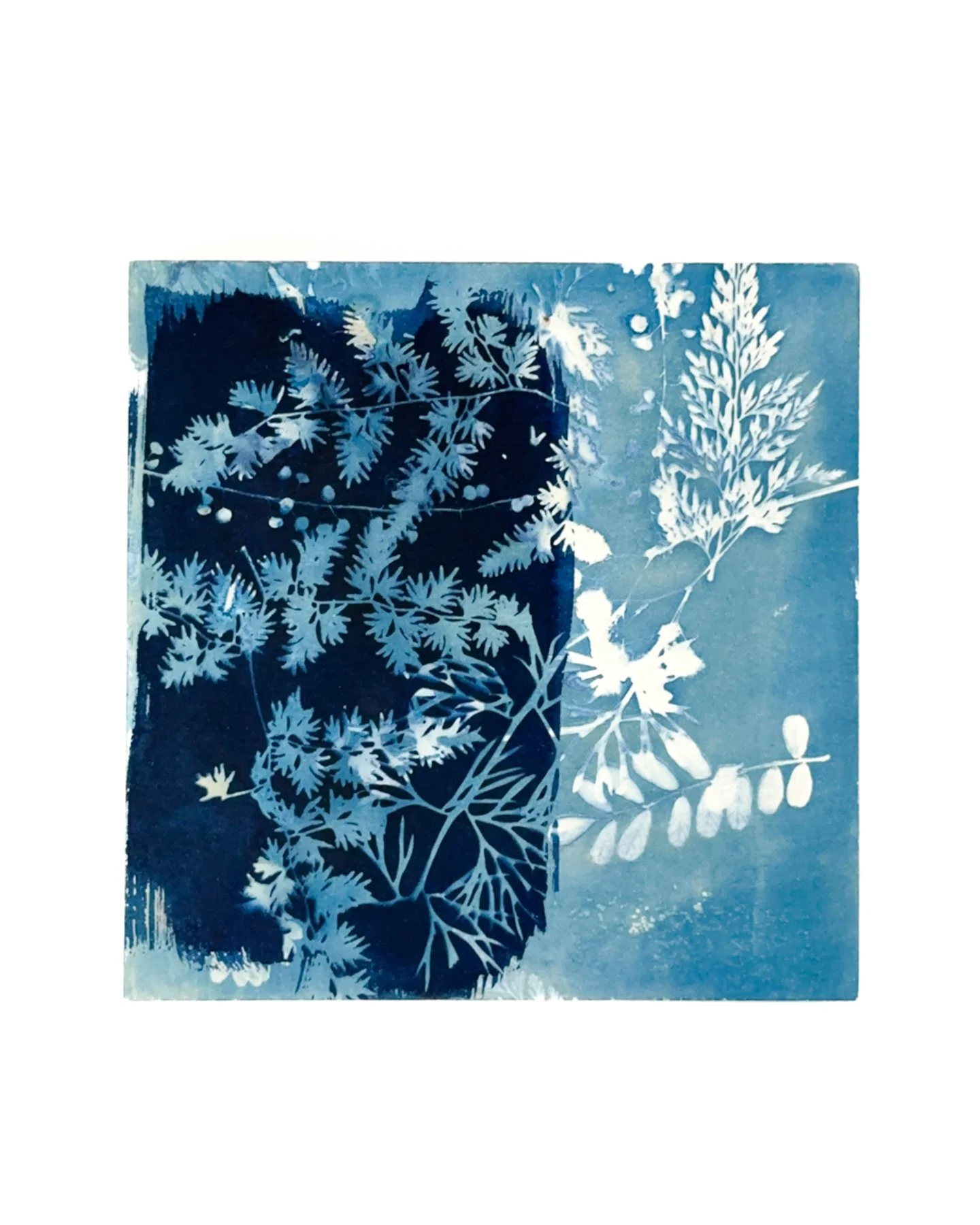 Blue Botanica, No. 2