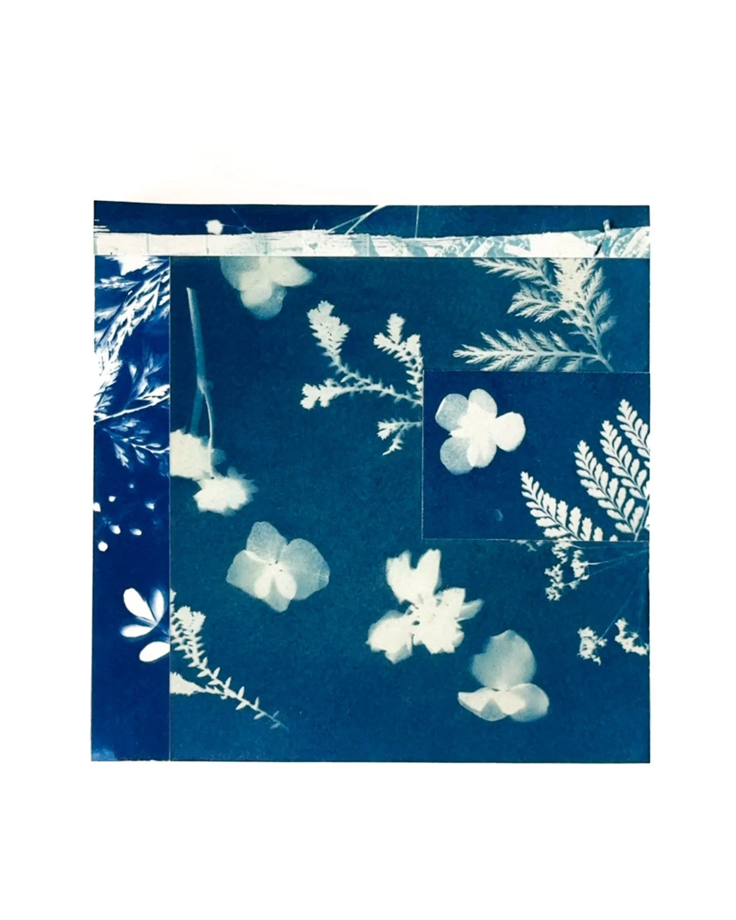 Blue Botanica, No. 5