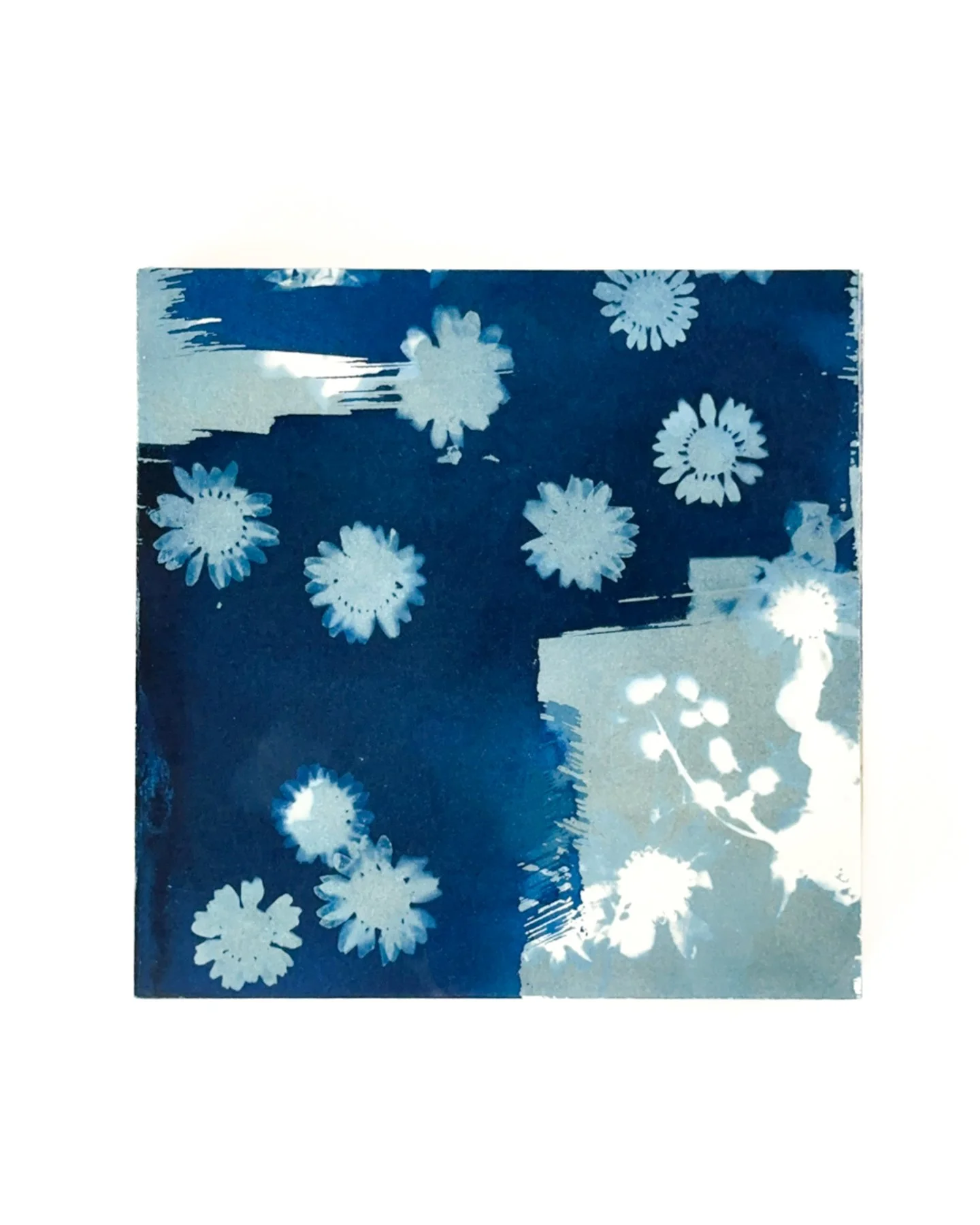 Blue Botanica, No. 4