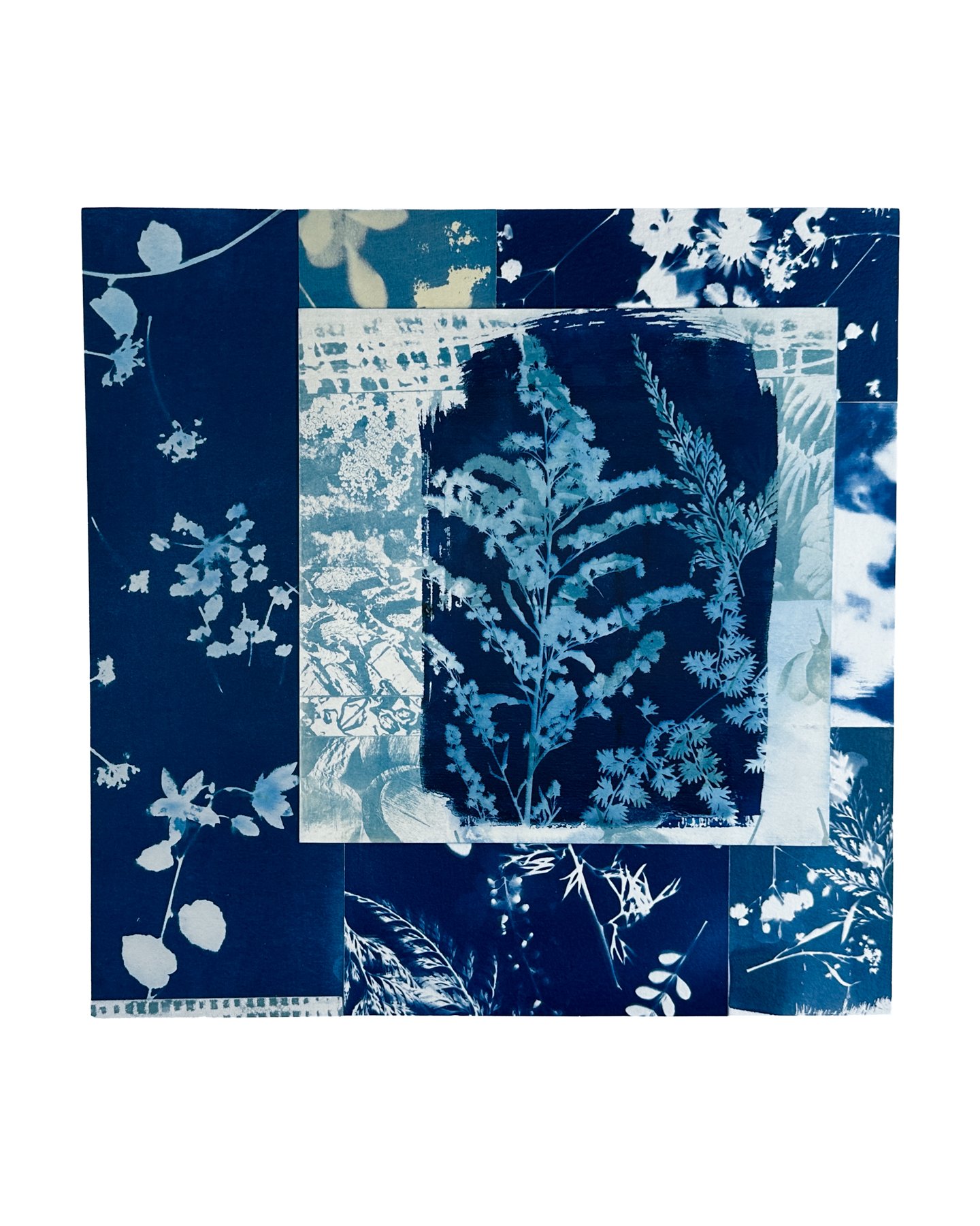 Daydream Botanicals, No. 1