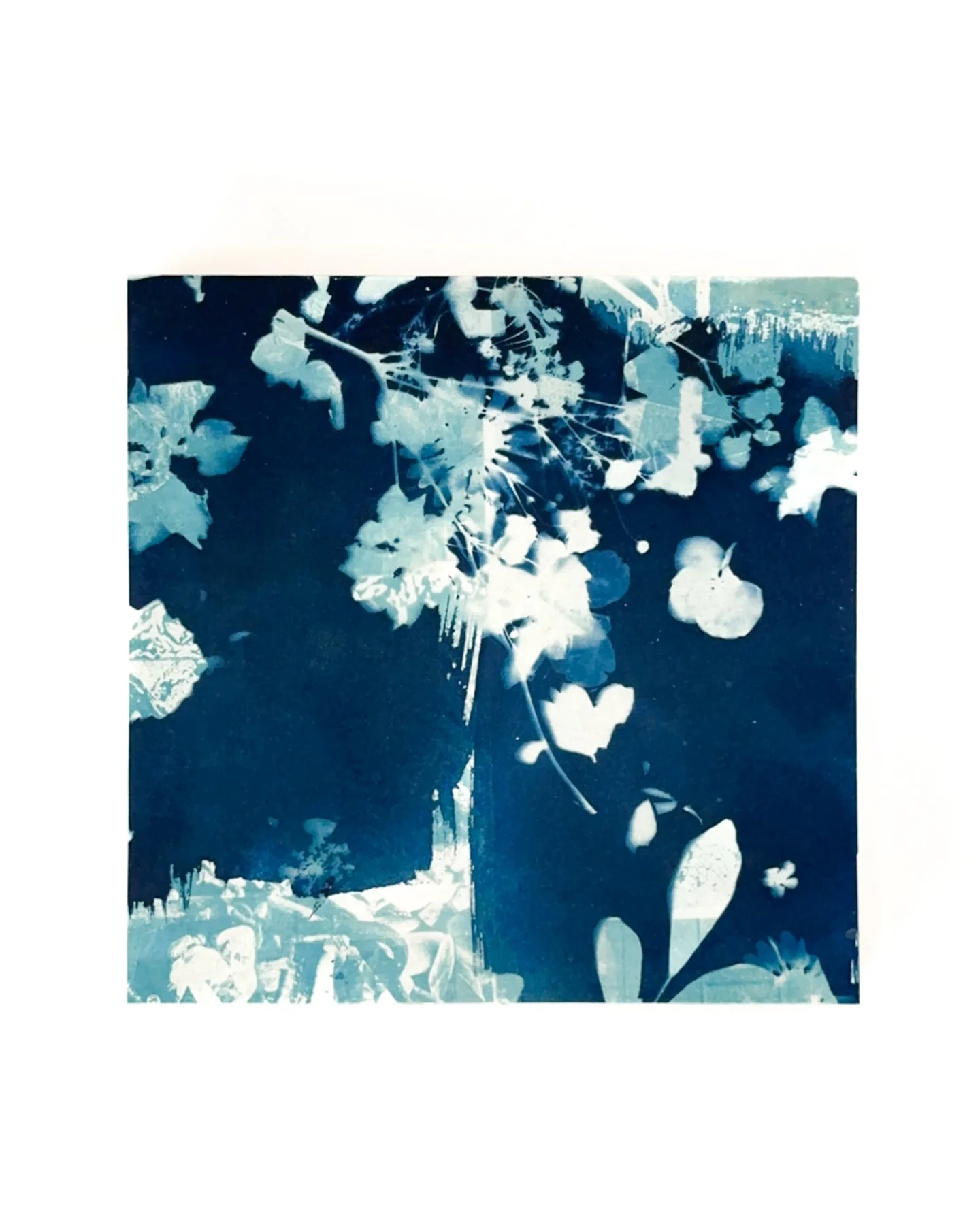 Blue Botanica, No. 9