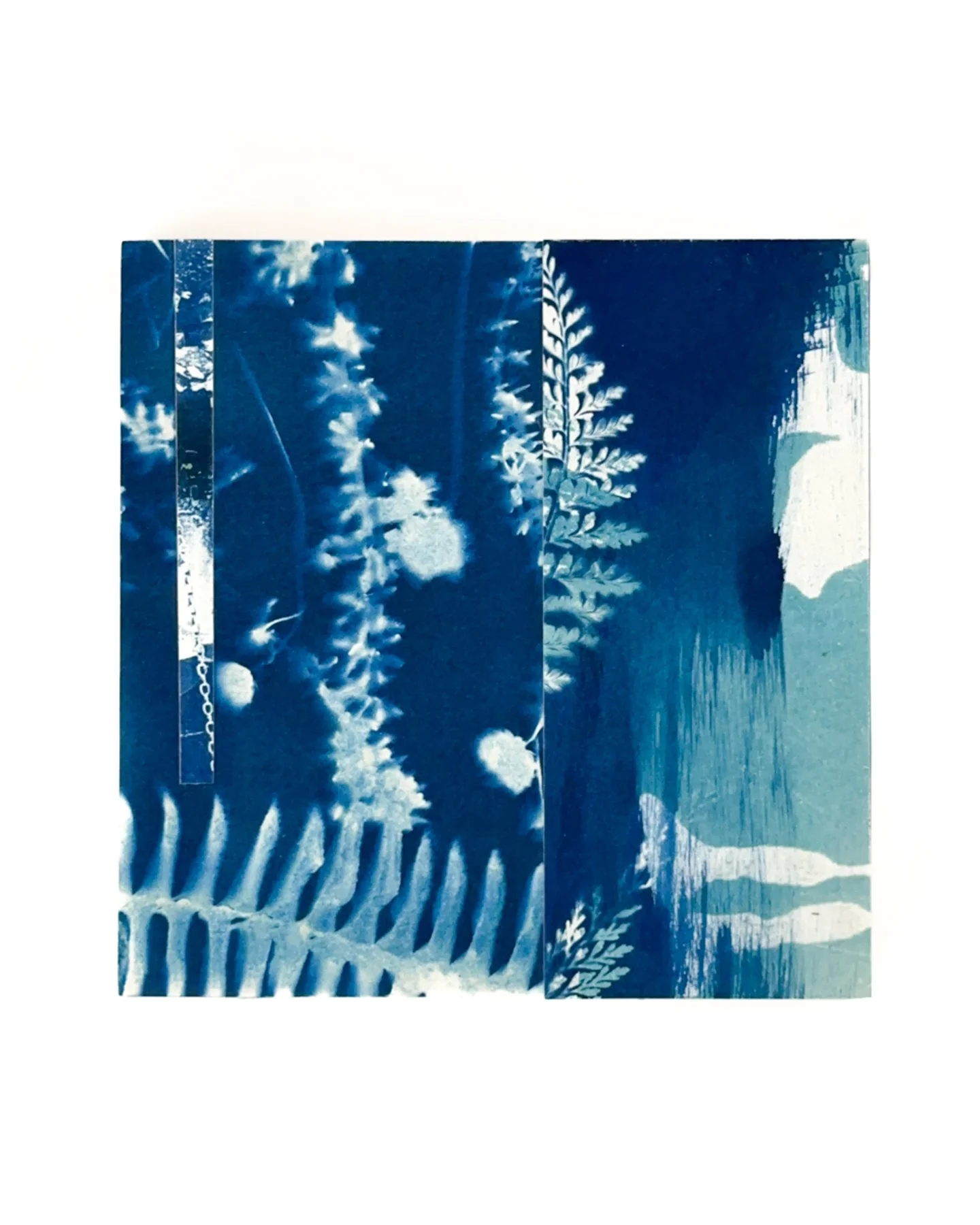 Blue Botanica, No. 14