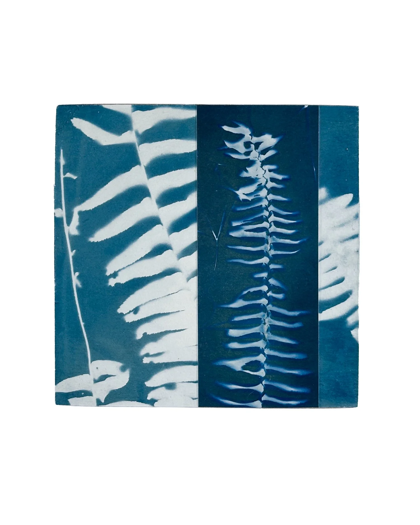 Blue Botanica, No. 23