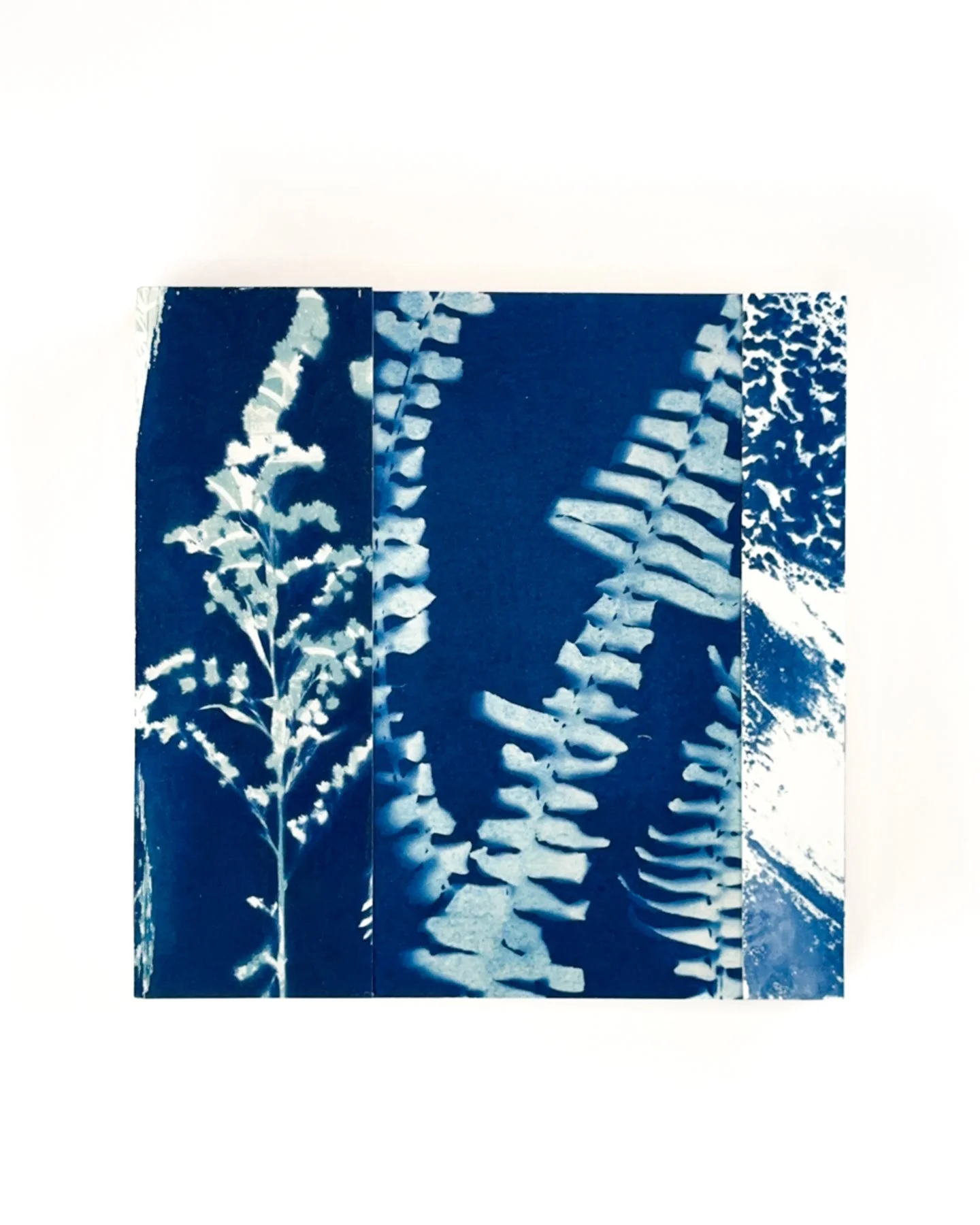 Blue Botanica, No. 7