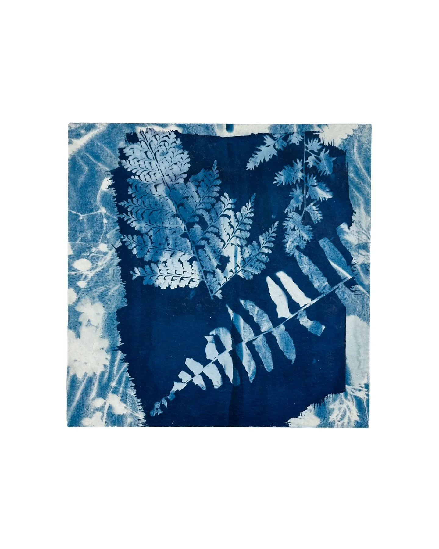 Blue Botanica, No. 24