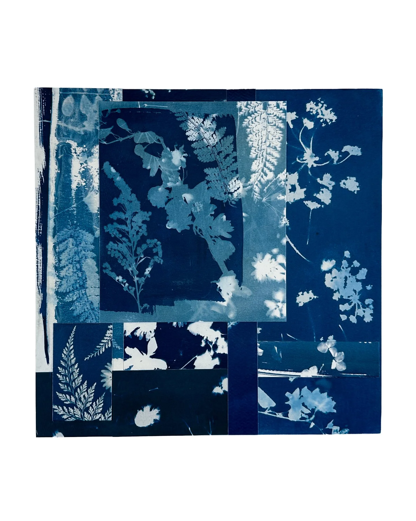 Daydream Botanicals, No. 2