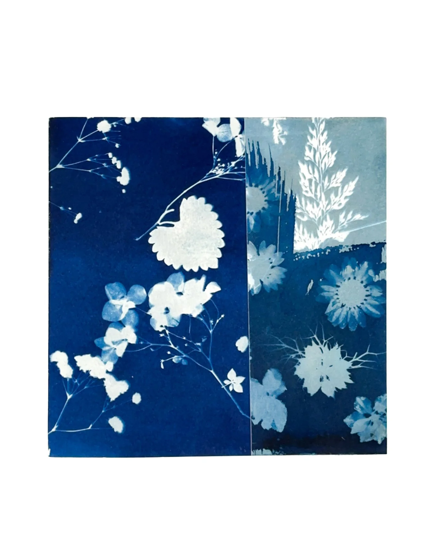 Blue Botanica, No. 3