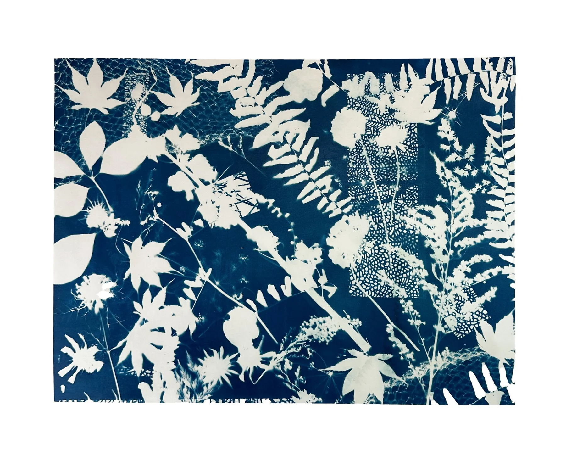 Layered Botanicals, No. 3