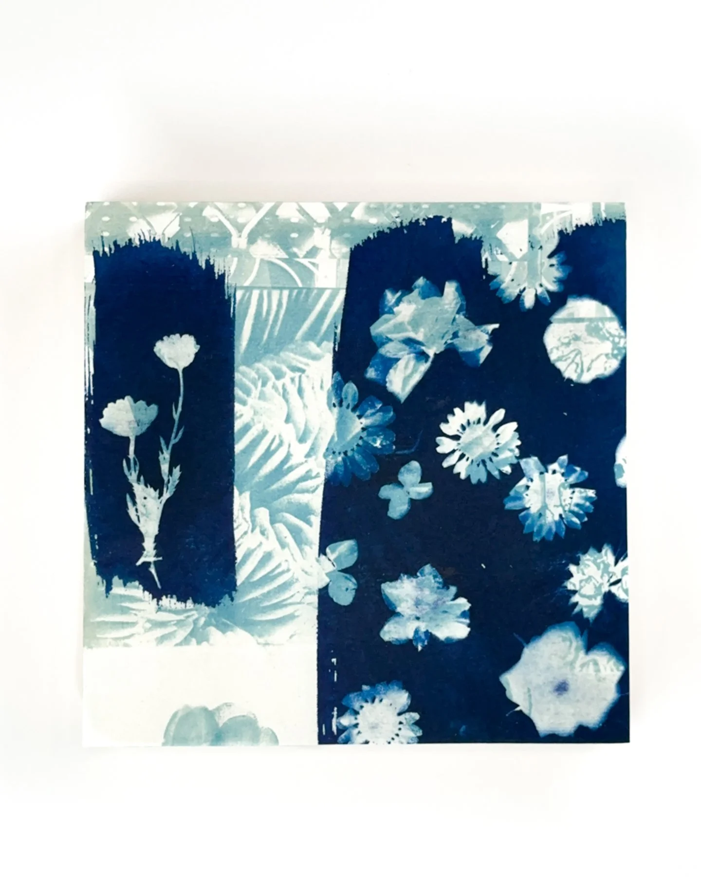 Blue Botanica, No. 6