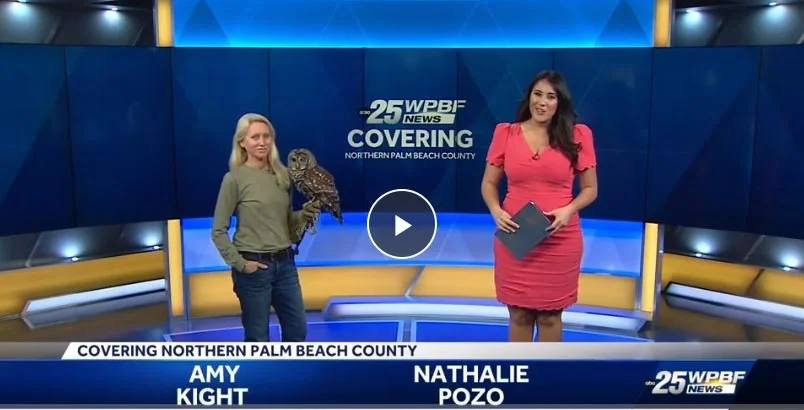 WPBF 25 Highlights Busch Wildlife Additions