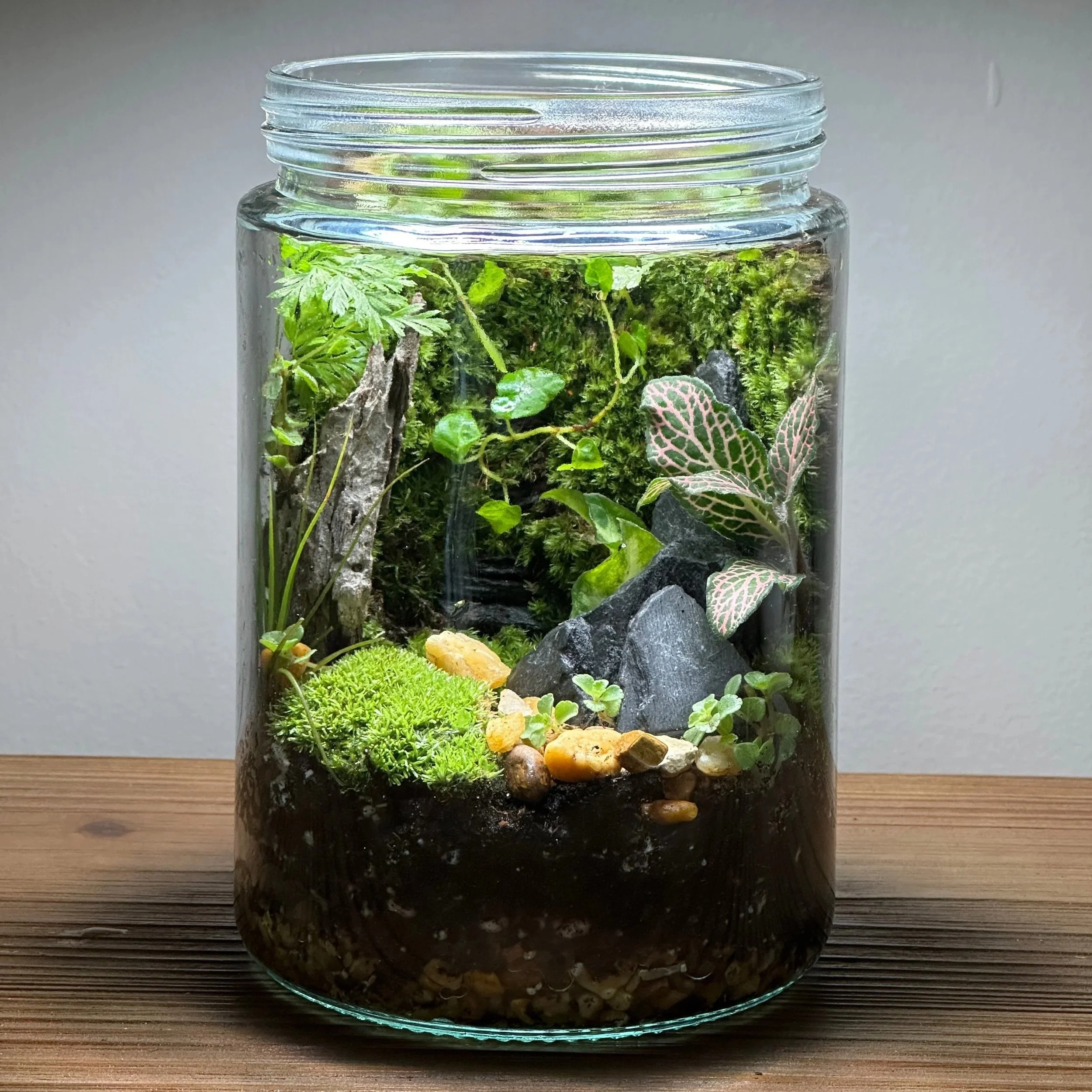 Terrarium Workshop at the Sanctuary