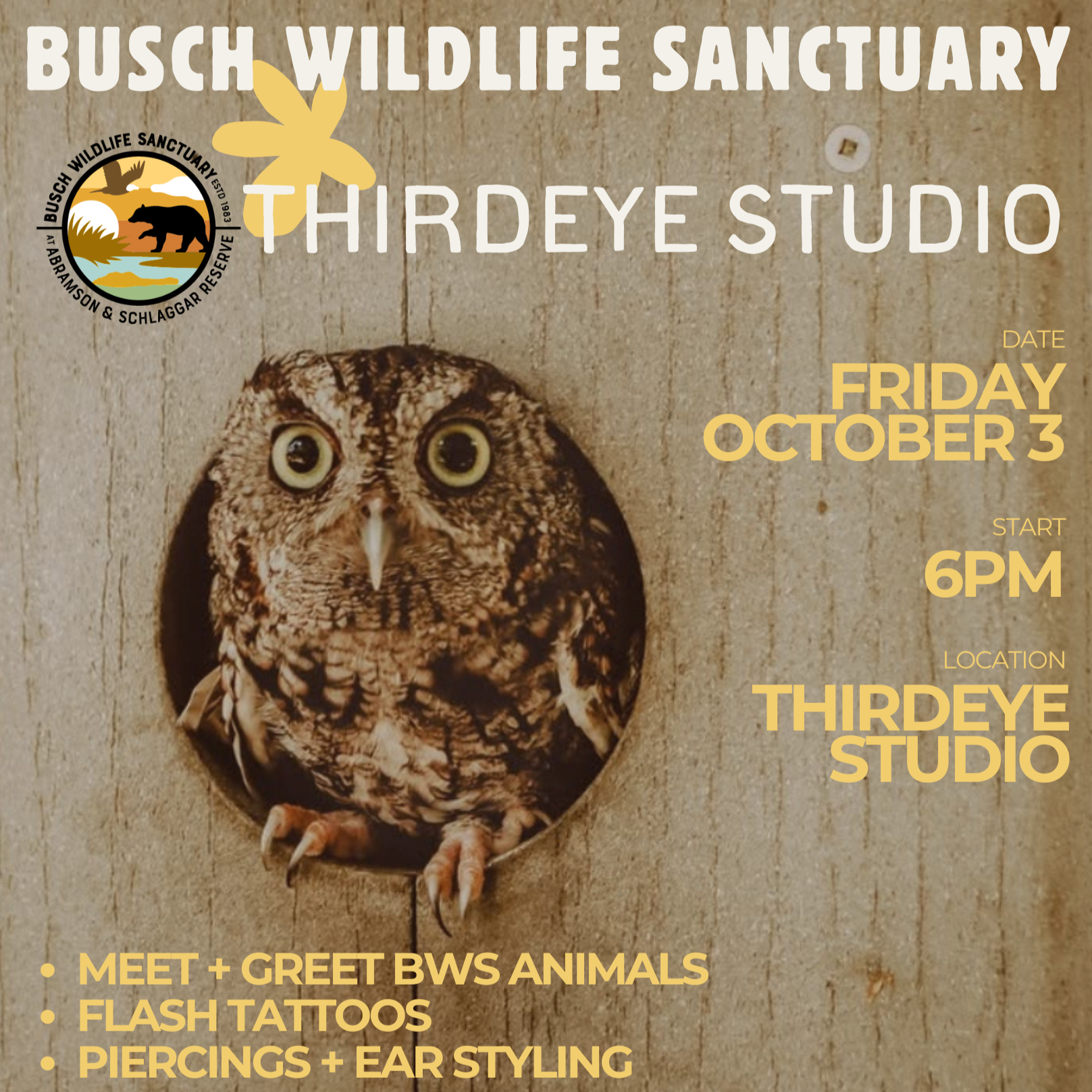Third-Eye Studio Giveback