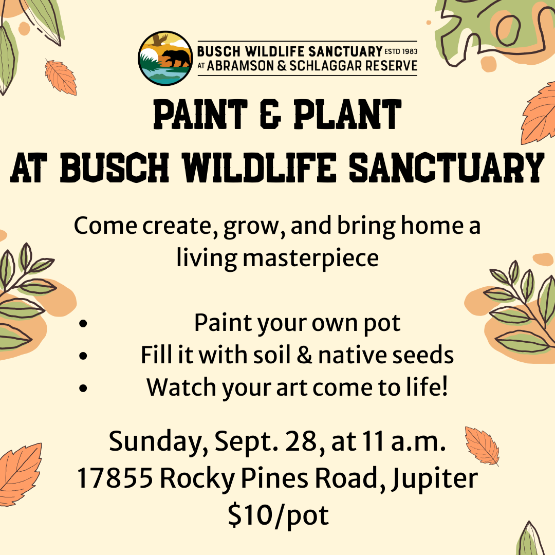 Paint & Plant
