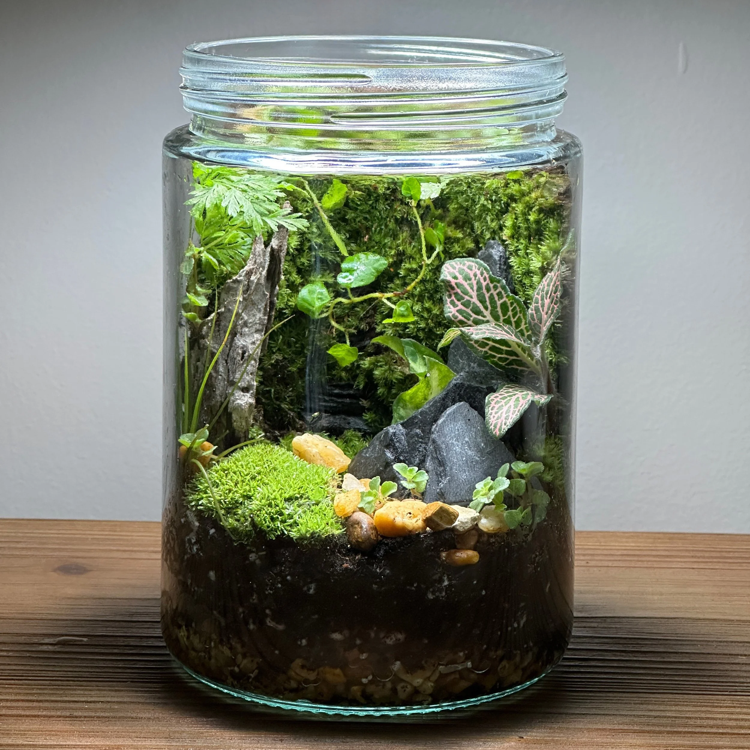 Terrarium Workshop at the Sanctuary