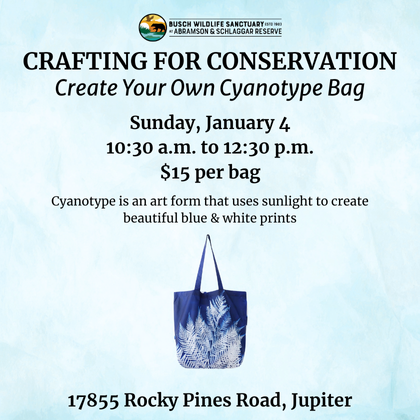 Crafting for Conservation