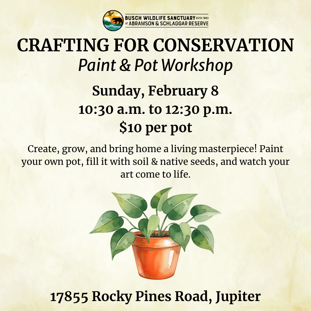Crafting for Conservation: Paint & Pot Workshop