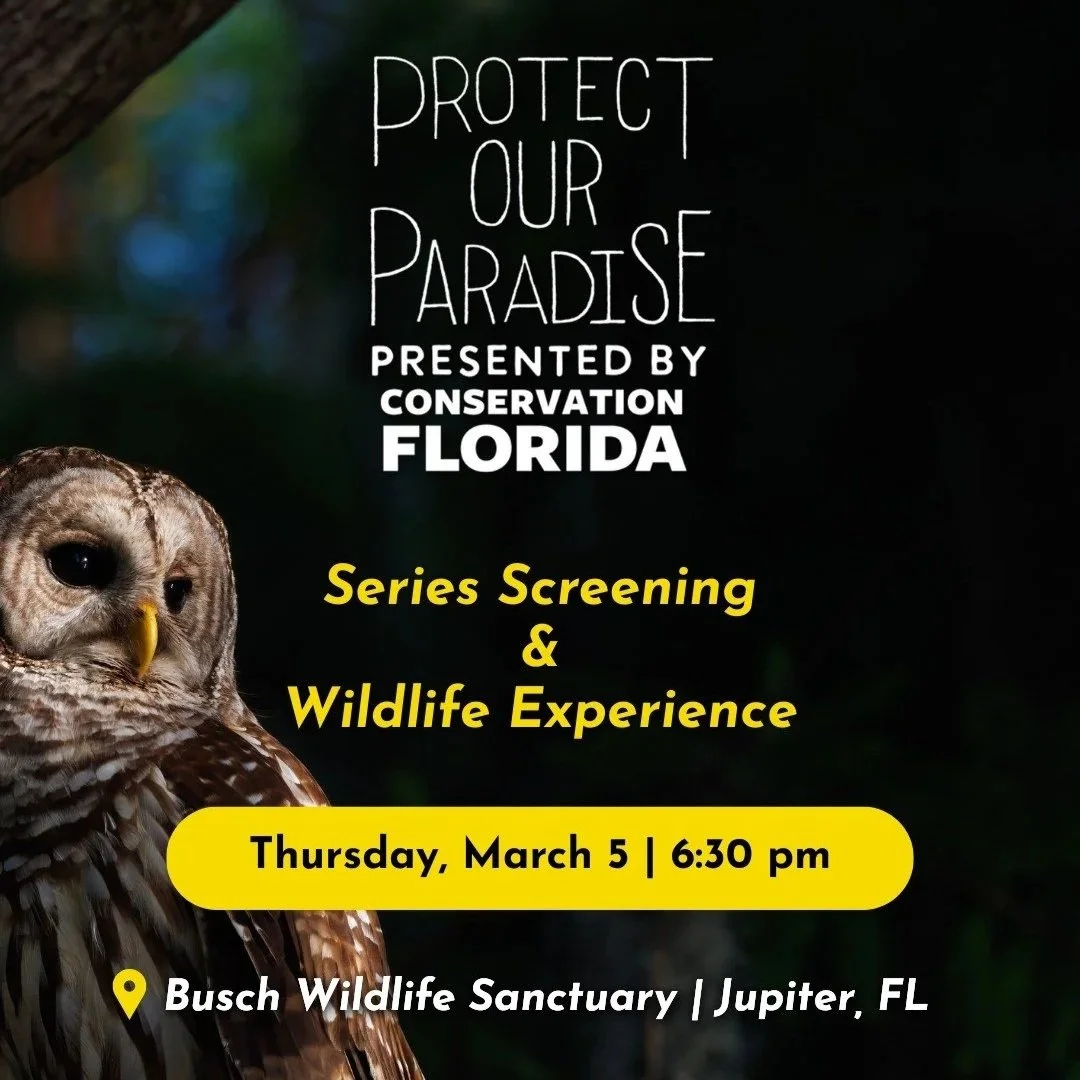 Protect Our Paradise Screening Presented by Conservation Florida