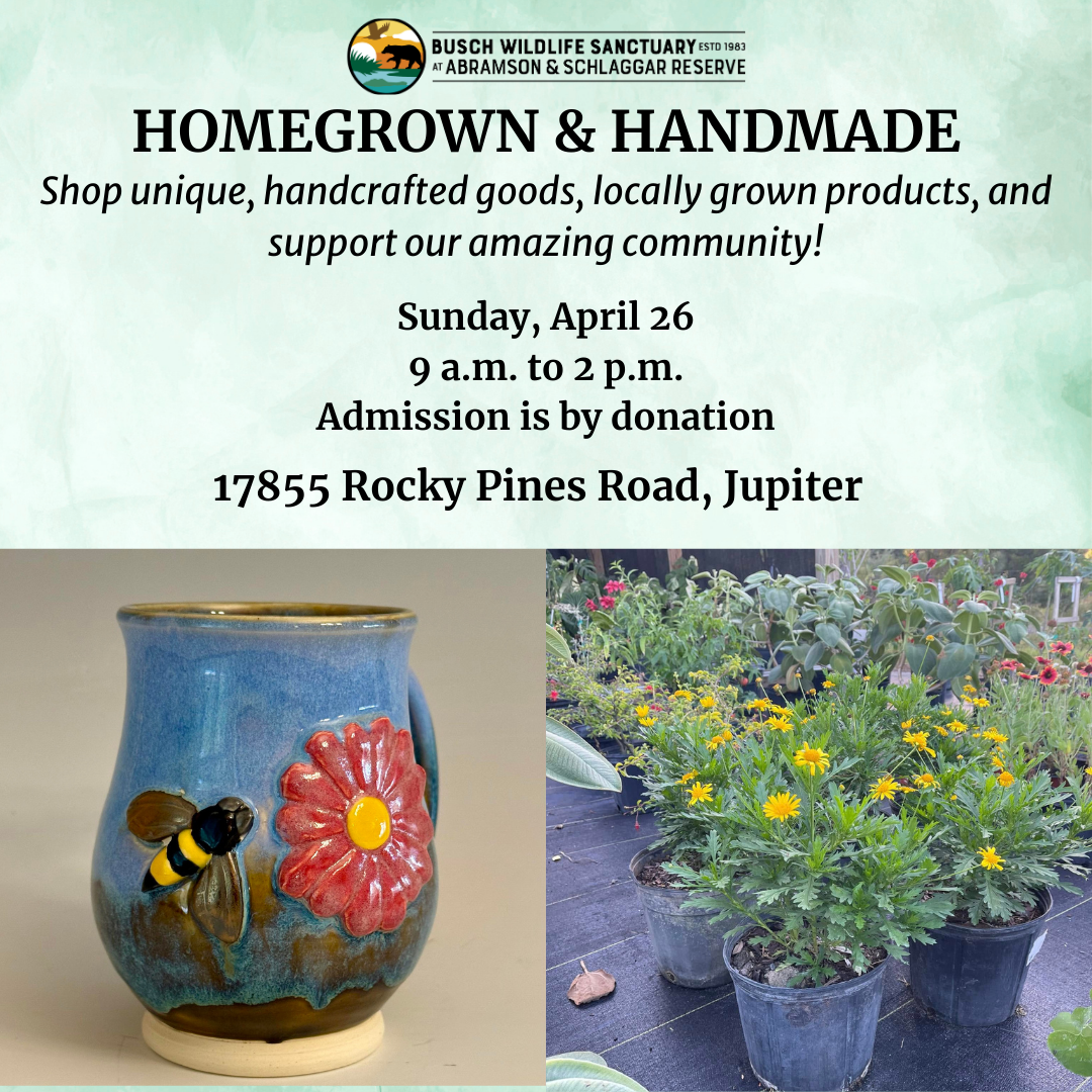 Homegrown & Handmade Fest