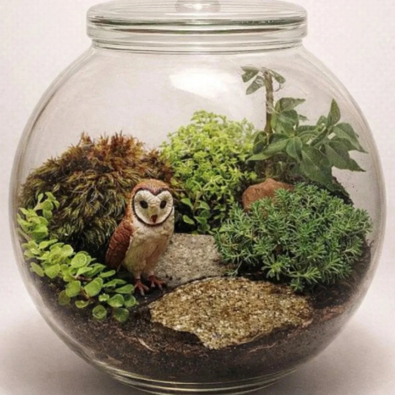 Terrarium Workshop