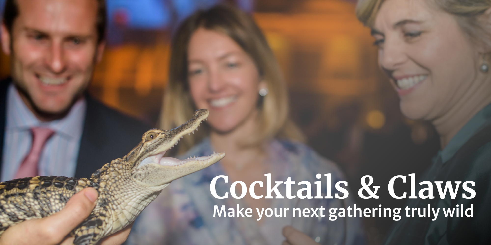 Cocktails &amp; Claws