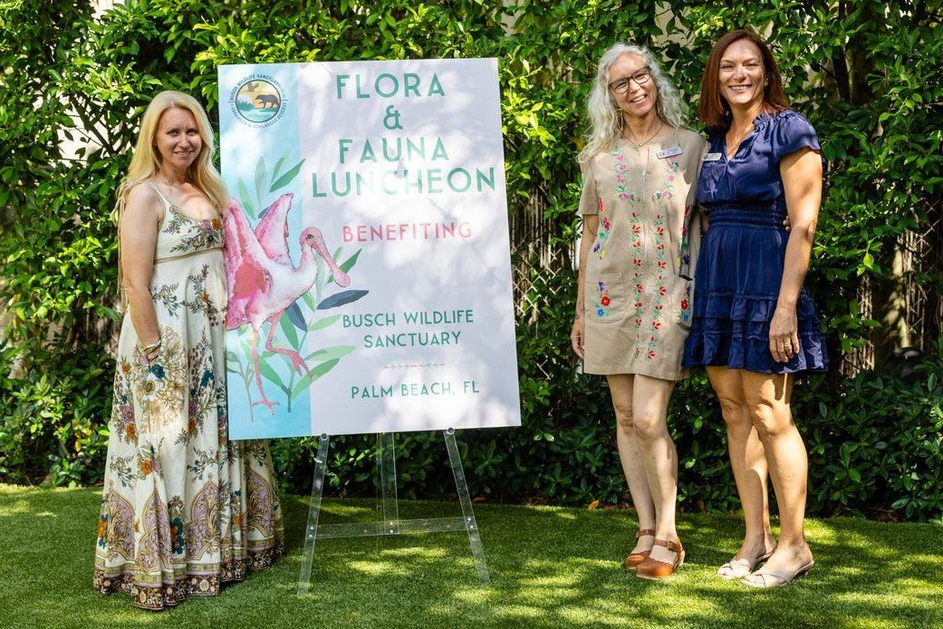 Amy Kight, Christen Mason, Lisa Wynne.jpeg