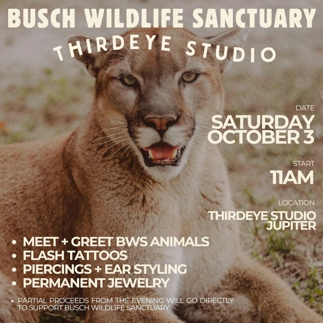 Thirdeye Studio Giveback