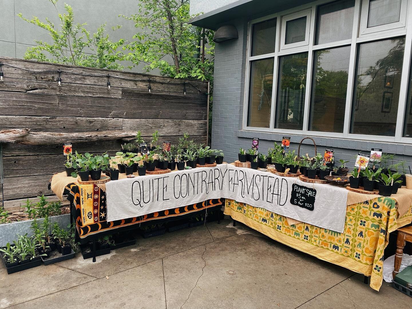 COFS Parent Dani Hurst Brown is the local grower behind Quite Contrary Farmstead 🌿 She&rsquo;s once again hosting her beautiful plant sales throughout the city this season! While you're busy prepping and planting your beds, be sure to find her out a