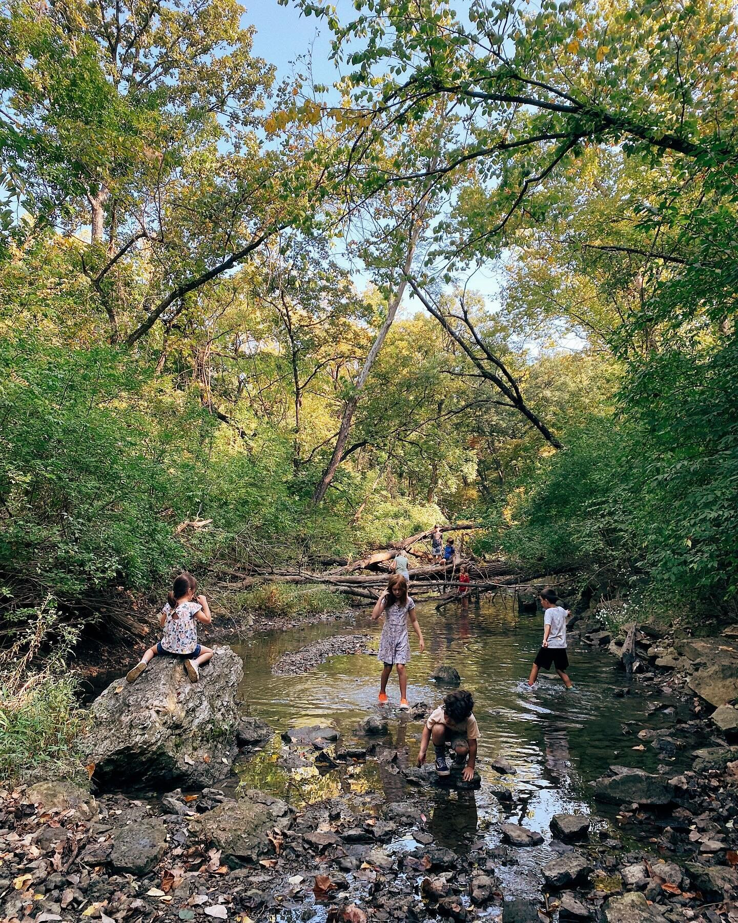 Our first Outdoor Day of the school year was a magical one! 🌿 Once a month, our students in Grades 1-8 have the chance to freely play with their peers at one of several local nature reserves or city parks. Curriculum is not on the agenda these days,