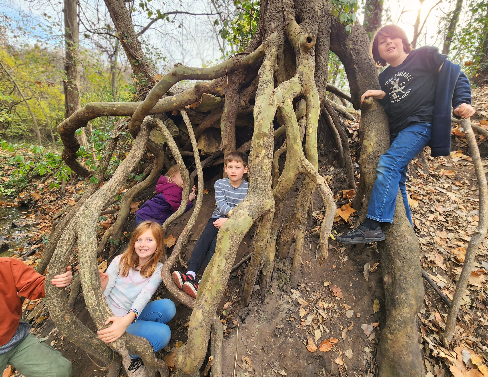 Untitled design - 3.png